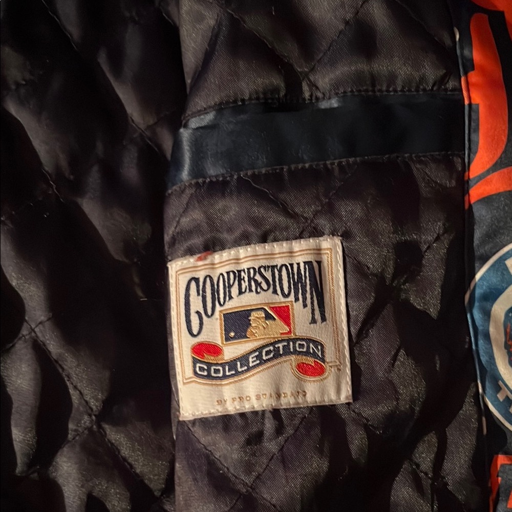 Detroit Tigers Graphic Jacket - Picture 3 of 4